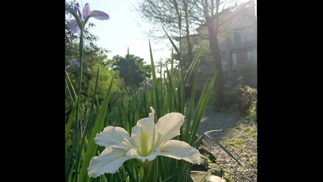 Stone House Homestay Yilan Eksteriør billede